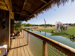 Supporting image for story: West Midland Safari park overnight lodges open for bookings