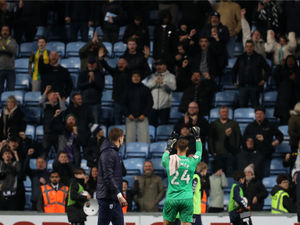 Supporting image for story: West Brom content with going under radar in Championship promotion race