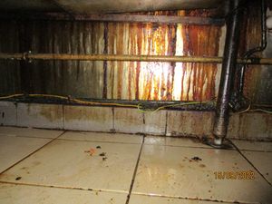 Supporting image for story: In pictures: The grimy restaurant with mouse activity and unsafe gas supply