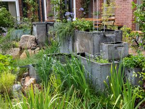 Supporting image for story: Garden opens to promote natural measures that boost flood resilience