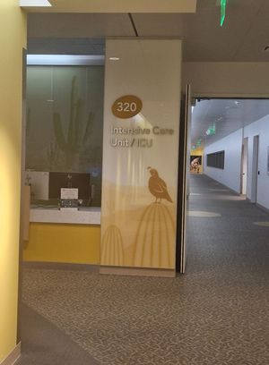 Ollie is currently being treated as an inpatient at the hospital ahead of his surgery. Picture: Ollie's Army Instagram