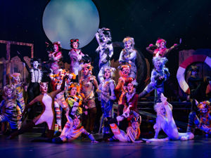 Supporting image for story: Young performers overcome challenges of pandemic to stage musical