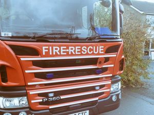 Supporting image for story: Horse dies after falling into ditch