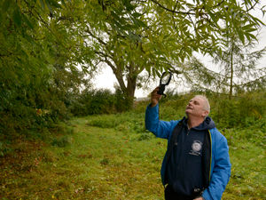 Supporting image for story: Shropshire 'tree hunter' Rob branches out across Europe for contest