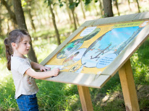 Supporting image for story: Woodland fun at National Memorial Arboretum