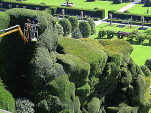 Supporting image for story: Out on the h-edge for an annual trim at Powis Castle