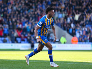 Supporting image for story: Shrewsbury Town 2 Gillingham 2 - Report and pictures
