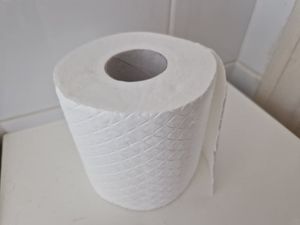 Scratchy 'tracing paper' toilet roll