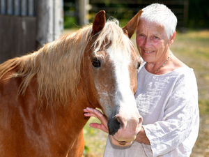 Supporting image for story: MBE an 'unexpected' reward for disabled riding school founder