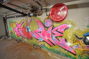 WOLVERHAMPTON COPYRIGHT NATIONAL WORLD TIM STURGESS 27/05/25. The Goldie artwork