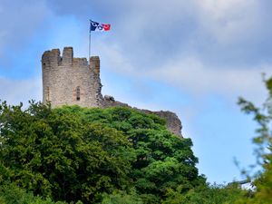 Supporting image for story: Dudley Castle placed on Heritage England's risk register