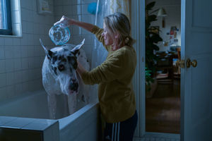 The Friend: Bing and Naomi Watts as Iris