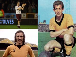 Supporting image for story: Wolves v Aston Villa: Five players who played for both Midlands sides