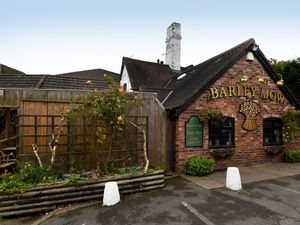 Supporting image for story: Hidden gem pub on edge of Wolverhampton with friendly welcome and unique look