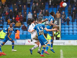 Supporting image for story: Barnsley v Shrewsbury Town: Salop's fortunes have turned with some luck