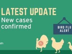 Supporting image for story: Second case of bird flu confirmed near Shropshire border in matter of days