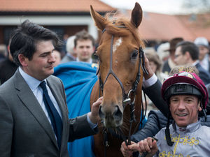 Supporting image for story: Palmer will Breeze into Newmarket