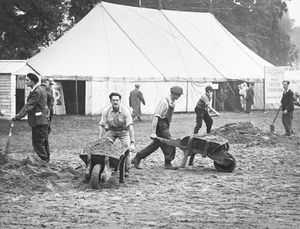 Wolverhampton Floral Fete, September 1951. Workers trying to combat the mud caused by rain by covering the ground with sand. 