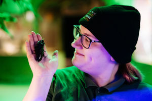 Kirsten Massey with a cockroach at West Midland Safari Park