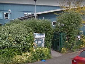 Supporting image for story: Axe to fall on nursery