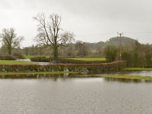 Supporting image for story: Still time to apply for Farming Recovery Fund