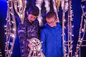 Chester Zoo has revealed its plans for its spectacular winter light trail.