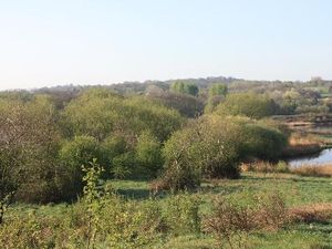 Supporting image for story: Sex fiend who attacked runner in Sandwell Valley is jailed 