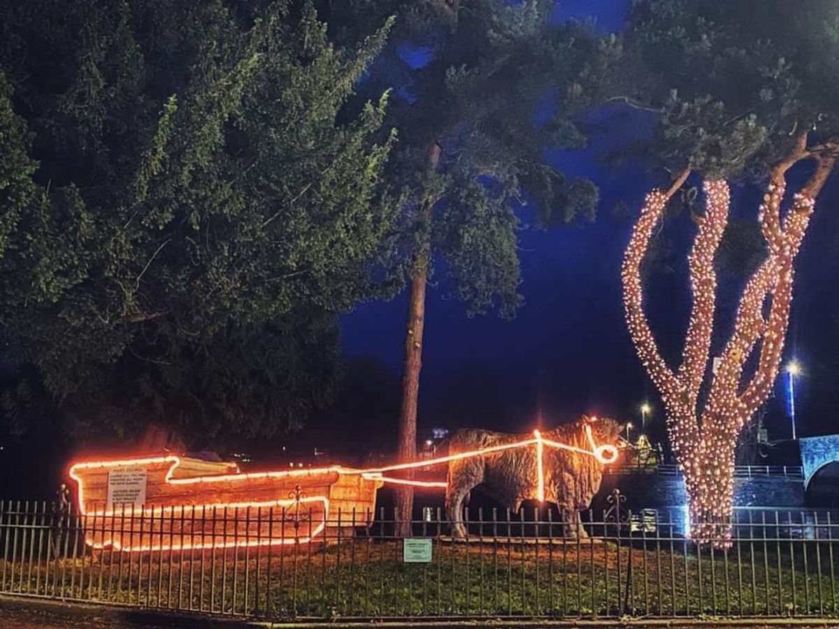 Builth Wells&rsquo; Christmas has been saved after the town council confirmed that a festive tree on the Groe is still alive