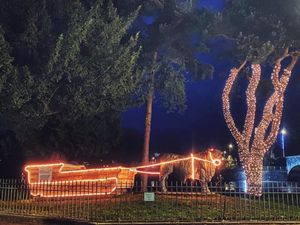 Supporting image for story: Builth Wells’ Christmas has been saved after the town council confirmed that a festive tree on the Groe is still alive