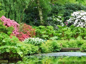 Supporting image for story: Spectacular garden event offers half price entry to Hodnet Hall Gardens