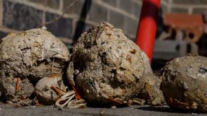 Severn Trent company is reminding customers about the “stranger things” that are turning the sewer network into the Upside Down.