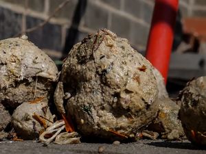 Supporting image for story: Severn Trent asks customers to keep the sewers safe by not flushing those 'Stranger Things'