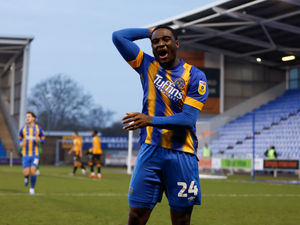 Supporting image for story: Loanees' return to Shrewsbury Town will be 'dependant on budget' 