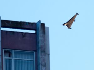 Supporting image for story: Ukrainian drone strikes Russian plant after record attacks by Moscow in June