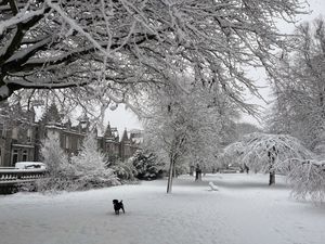 Supporting image for story: Forecasters warn of more heavy snow across swathes of northern Scotland