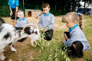 Pupils at Longlands Community Primary School in Market Drayton have welcomed two new pygmy goats – Leo and Vince