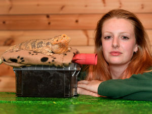 Supporting image for story: ‘Panic stations’ as Telford Exotic Zoo sees energy bill rise £4,000 in a month