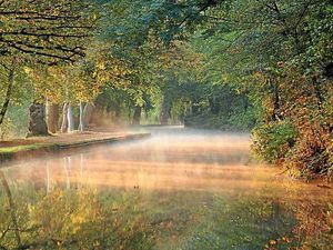 Supporting image for story: Shropshire wildlife photography winner annouced