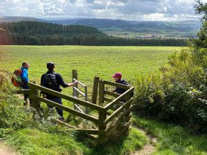 There will be no Spring walking festival in Kington in 2025.