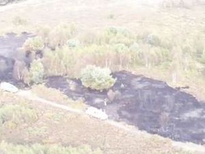 Supporting image for story: Large area of Birmingham parkland destroyed in suspected arson attack 