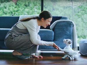 Supporting image for story