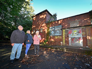 Supporting image for story: Woodland revamp on the way for eyesore sports ground in Darlaston 