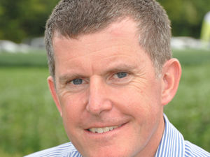 Supporting image for story: Valuable but variable oilseed rape crops need tailored protection