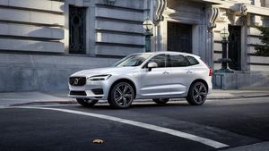 Supporting image for story