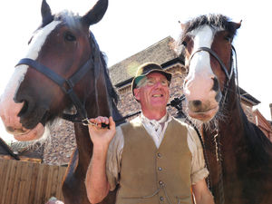 Supporting image for story: Blists Hill to host heavy horse weekend 