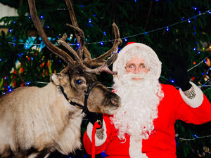 Supporting image for story: Hoo Farm cancels Christmas event for second time in 30-year history