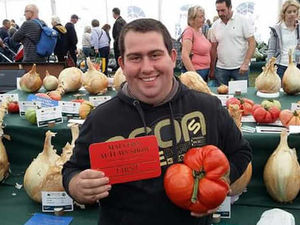 Supporting image for story: Now THAT'S a tomato! Chris takes plum position with 6lb 2oz whopper