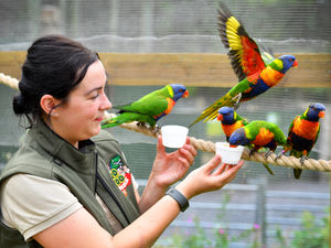 Supporting image for story: Telford zoo welcomes colourful new residents