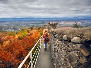 Supporting image for story: Women walking 4,000 steps once or twice a week ‘cuts risk of early death by 26%’