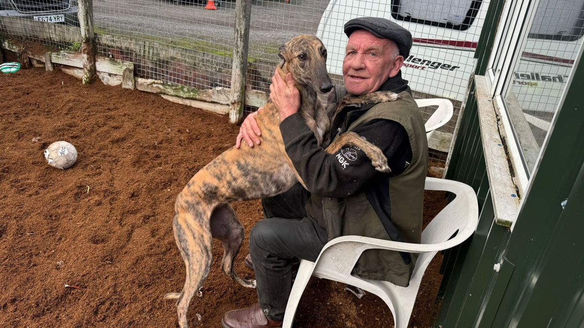 Butlers Lane can make veteran trainer&rsquo;s dream come true in Friday&rsquo;s Premier Greyhound Racing Oaks final